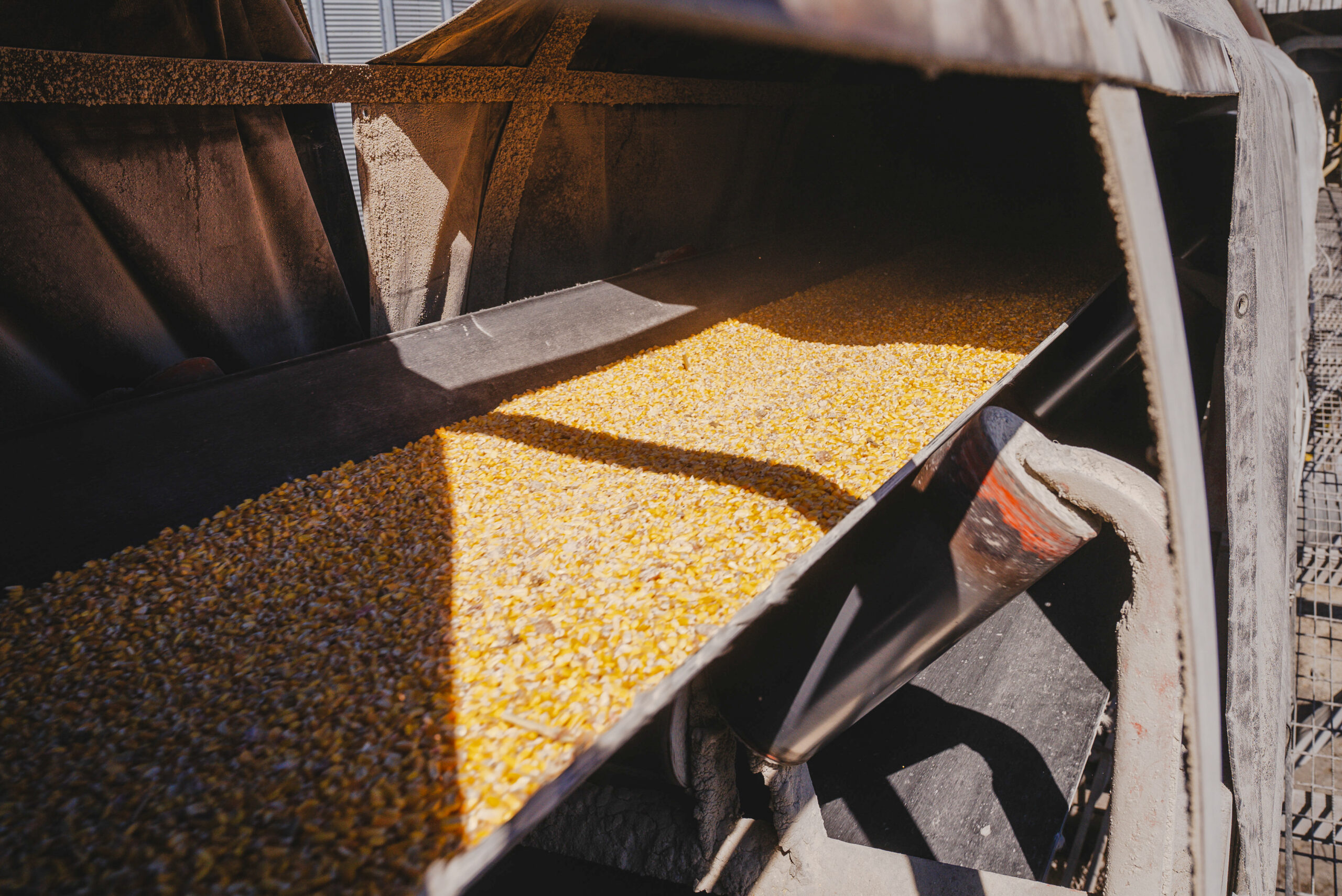 Top Three Reasons to Trust Fenner Dunlop for Superior Grain Handling Solutions