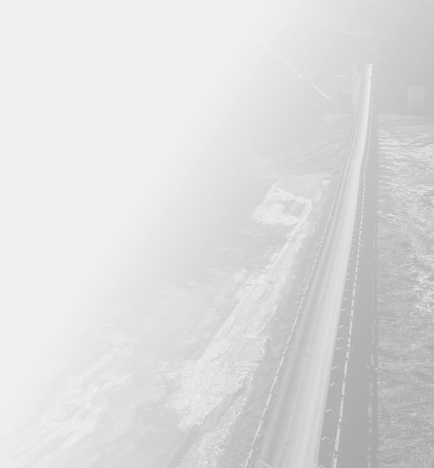 Ultra X Conveyor Belt carcass close-up