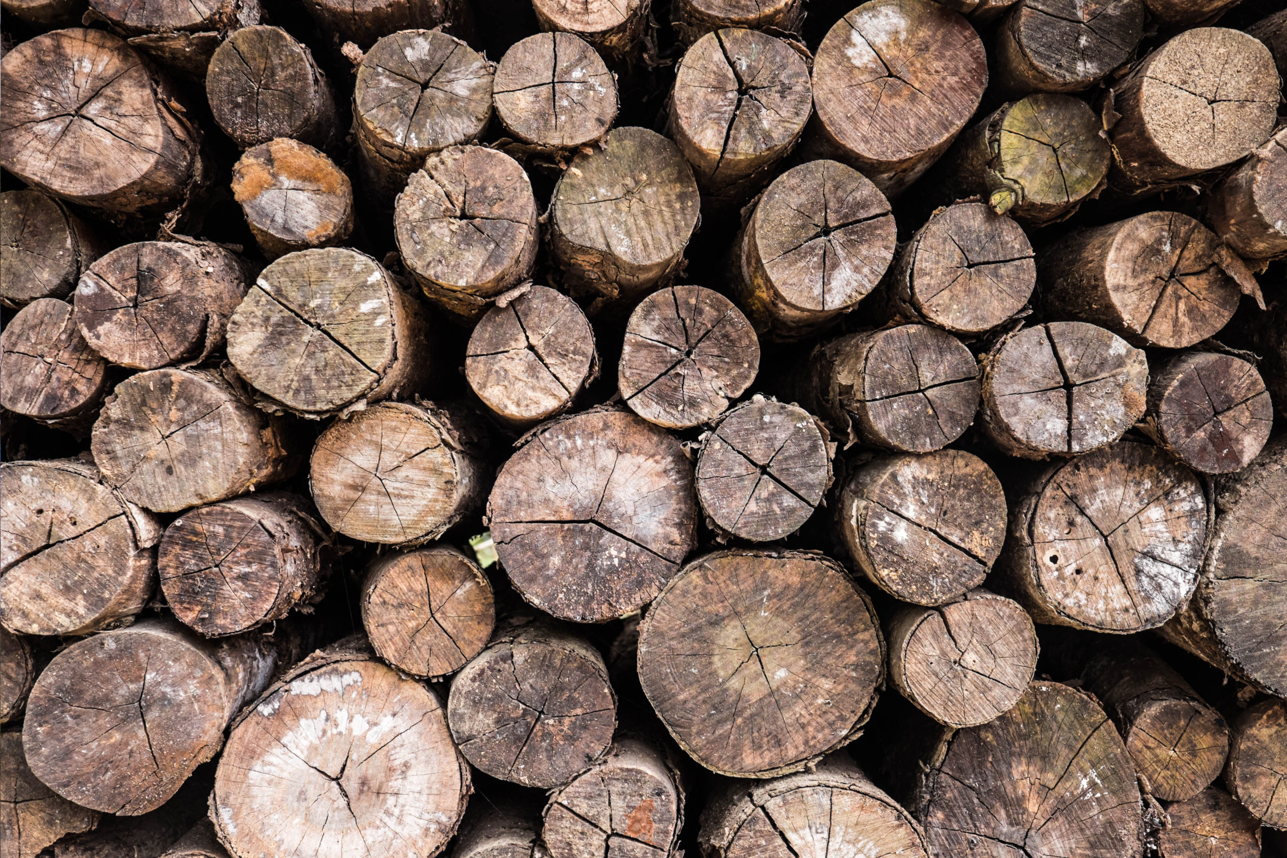 Fenner Dunlop para exhibir en la Convención de la Madera de Montreal de este año